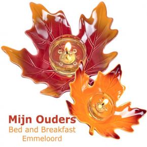 Mijn Ouders Bed and Breakfast